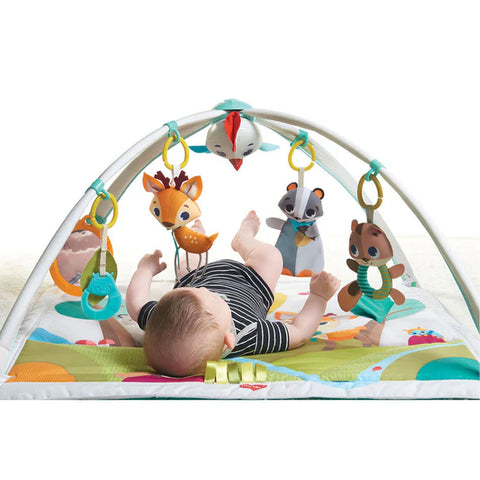 Gimnasio para Bebés Into the Forest Gymini Deluxe