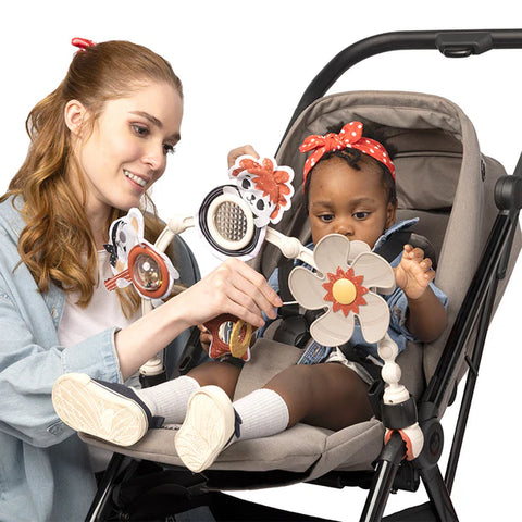 Arco para Coche Tiny Rockers
