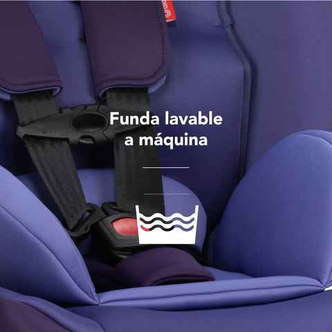 Silla de Auto Convertible Diono Radian® 3R Edición Limitada (Morado Silvestre)