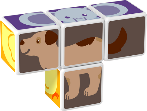 Cubos Magnéticos MAGICUBE Animales (4 piezas)