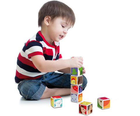 Cubos Magnéticos MAGICUBE Animales (4 piezas)