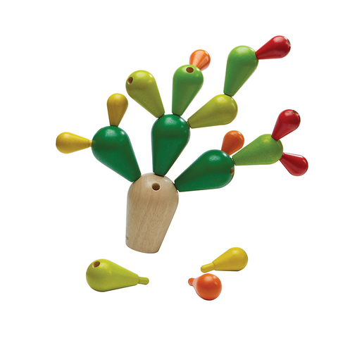 Cactus de Equilibrio